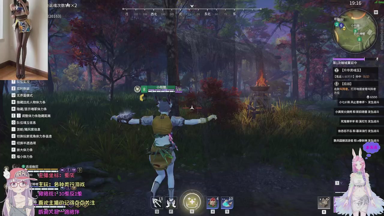 美貌与智慧并存，颜值与才华齐飞