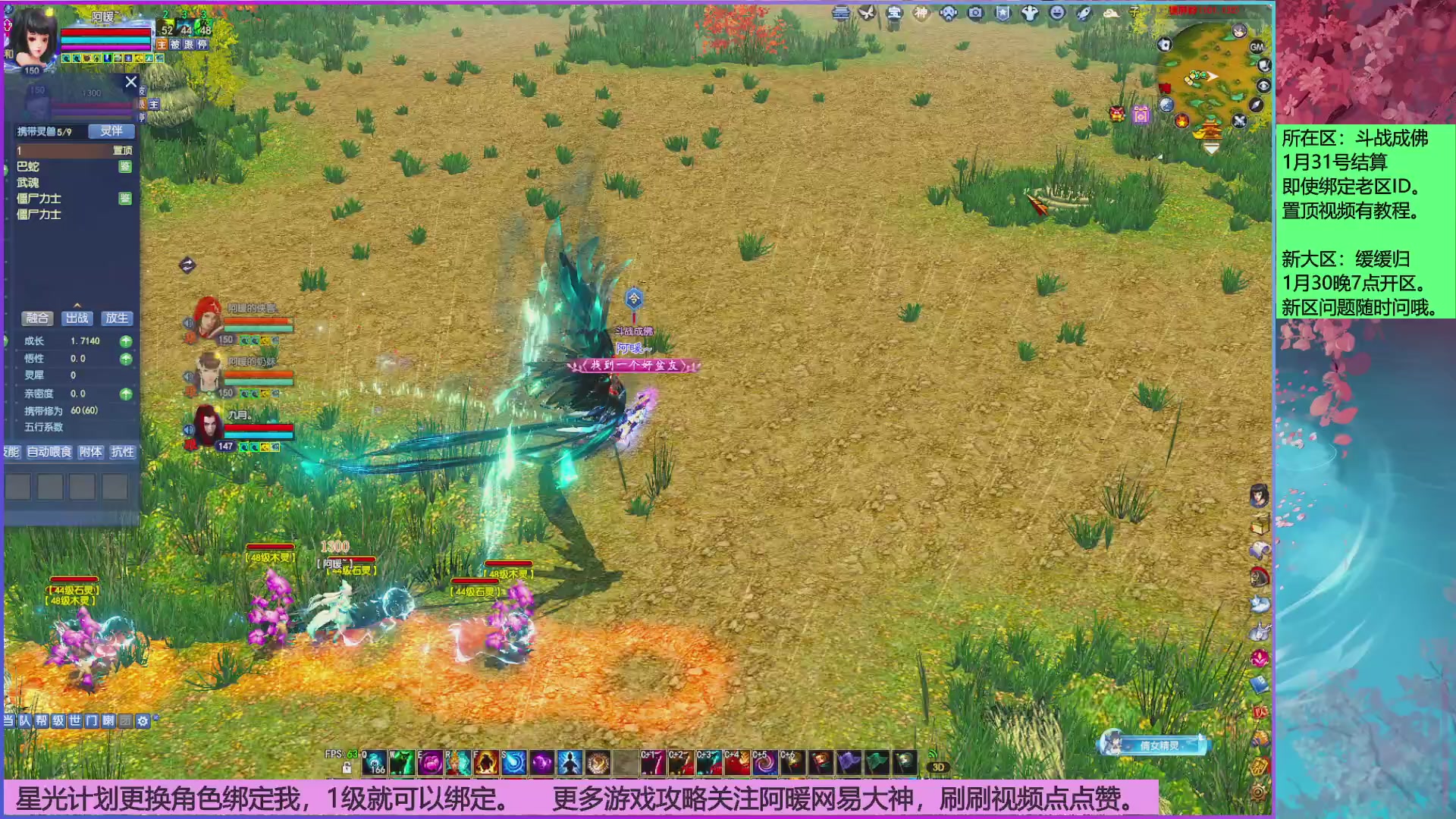 开新大区了！！！！