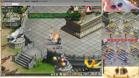 毒十女人欢迎踢馆