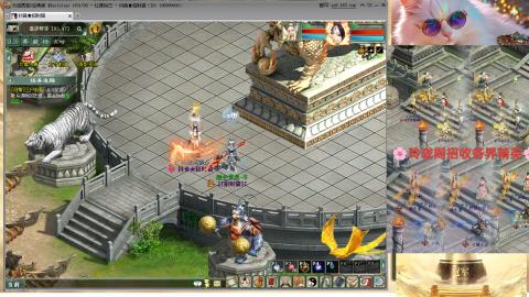 毒十女人欢迎踢馆