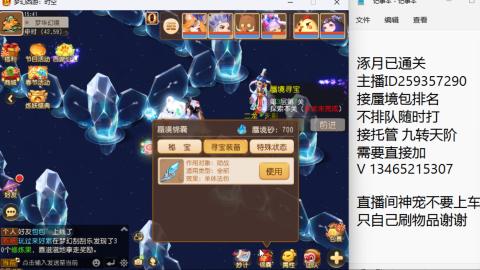 接九转蜃境托管~