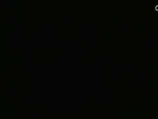 爱网易爱cc专注神宠打本