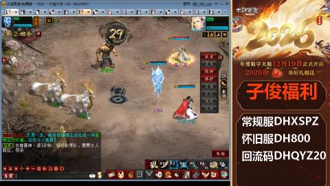 <2026>新手码：DHXSPZ