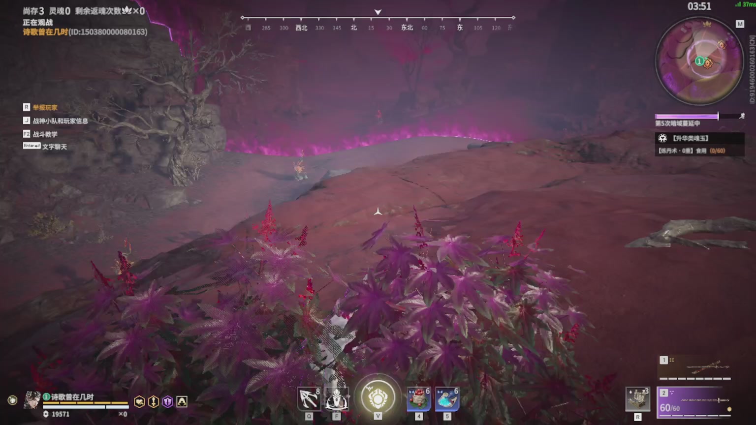 卿梦安心的直播间