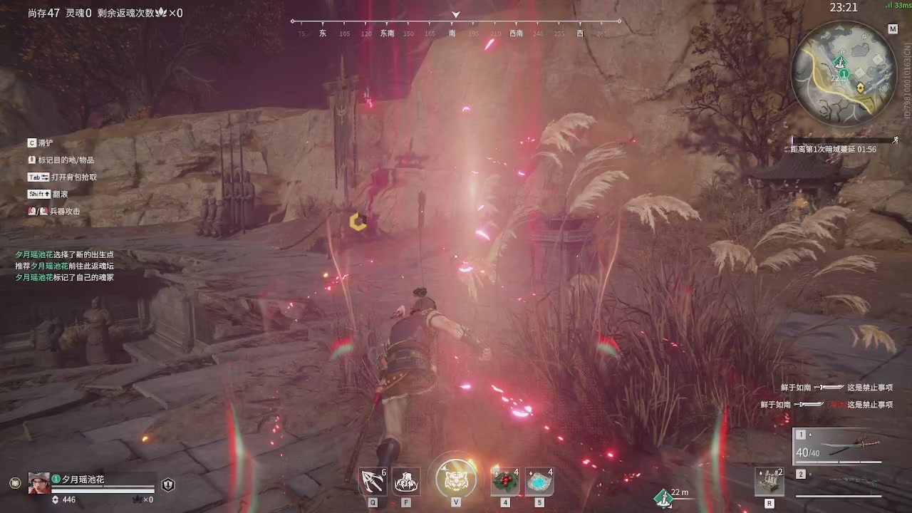 美貌与智慧并存，颜值与才华齐飞