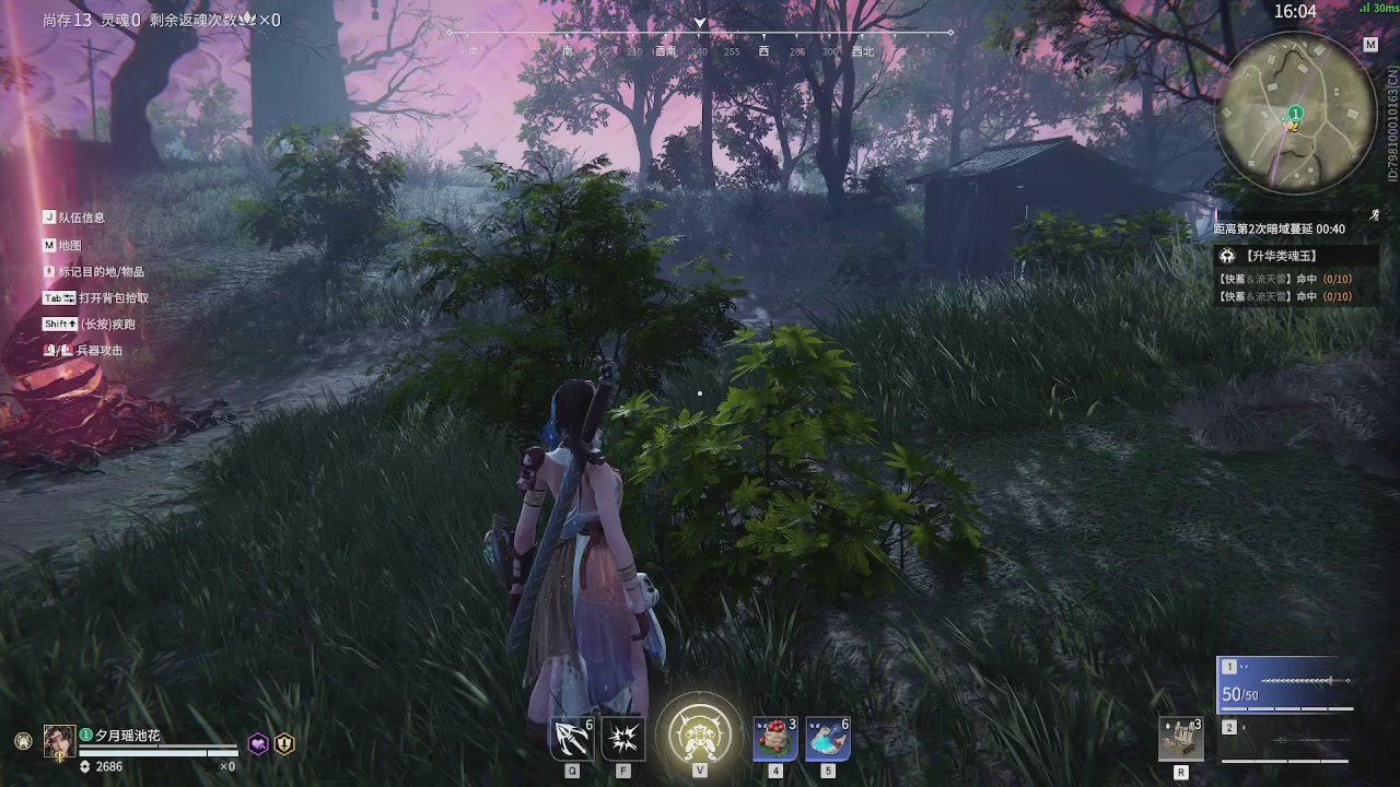 美貌与智慧并存，颜值与才华齐飞