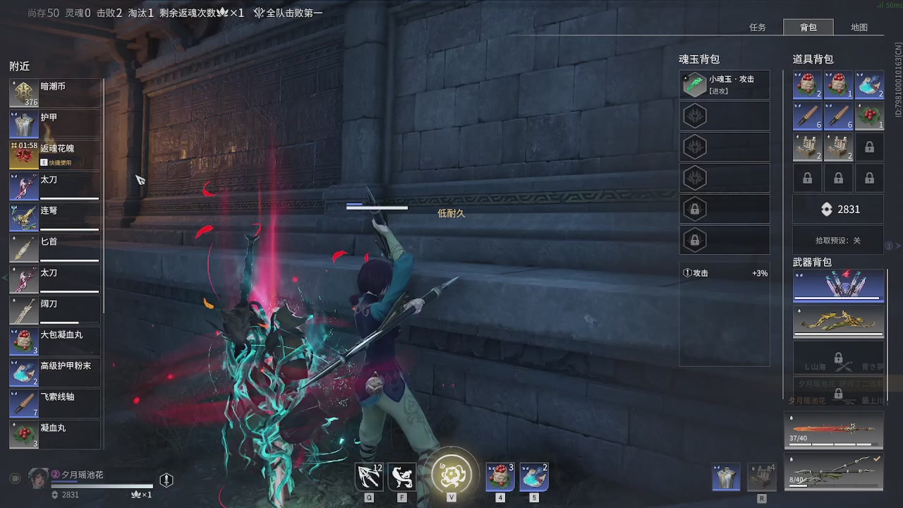 美貌与智慧并存，颜值与才华齐飞