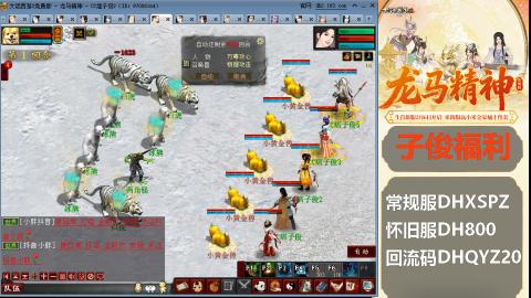 新服<龙马精神>新手码：DHXSPZ