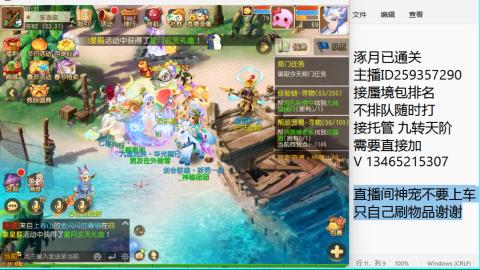 接九转蜃境托管~