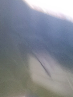 请叫我枪不黑的直播