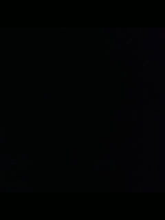 请叫我枪不黑的直播