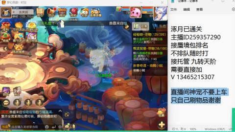 接九转蜃境托管~