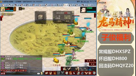 新服<龙马精神>新手码：DHXSPZ