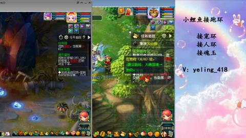 接命魂之玉 人环 宠环