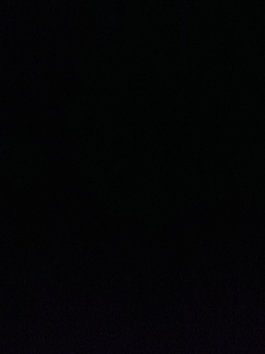 请叫我枪不黑的直播