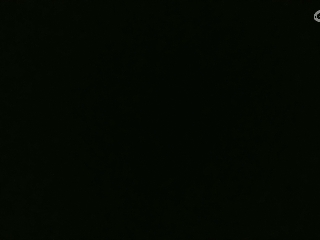 爱网易爱CC专注神宠打本