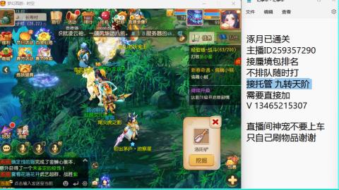 接九转蜃境托管~