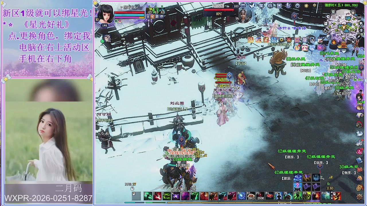 鲜衣怒马小划子