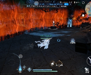 欢迎来看我的直播～