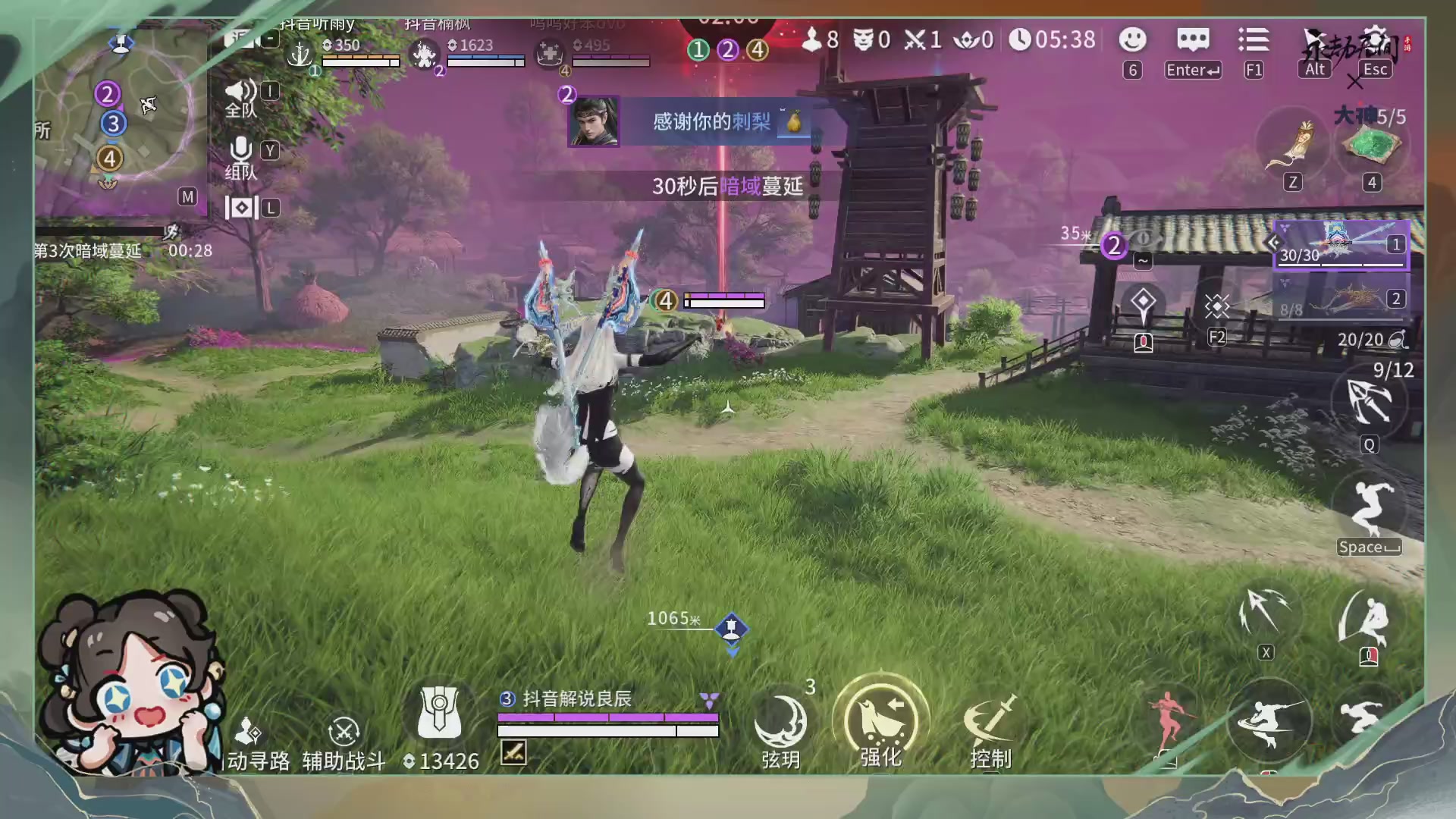 单排沈妙的一片天