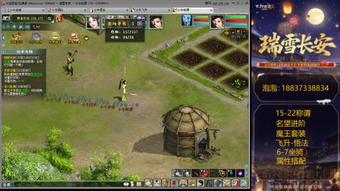 杀称组号搭配中。。