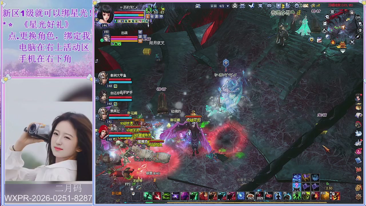 鲜衣怒马小划子