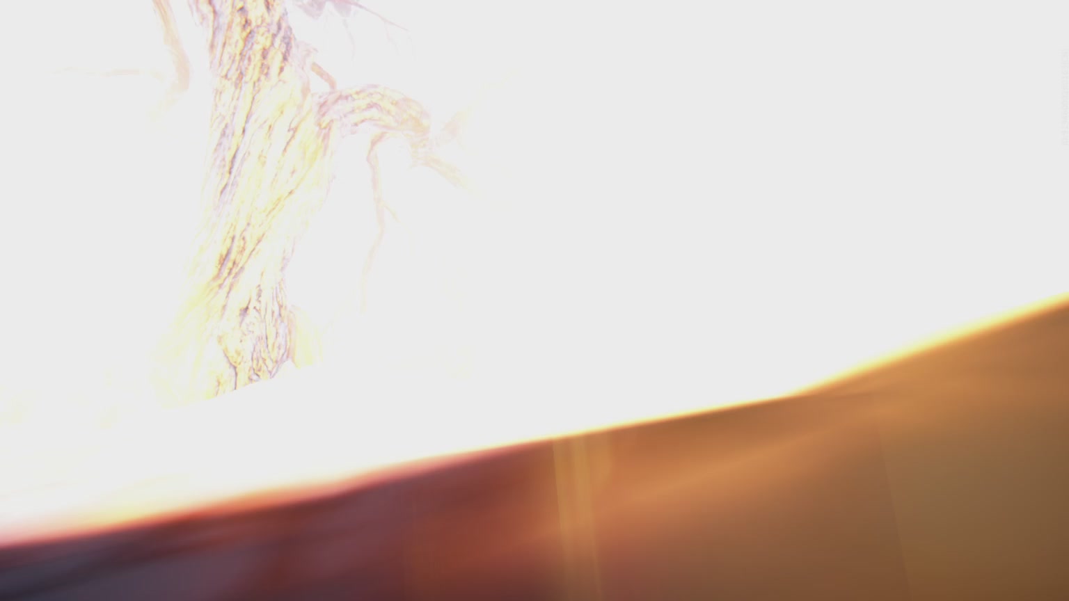 卿梦安心的直播间