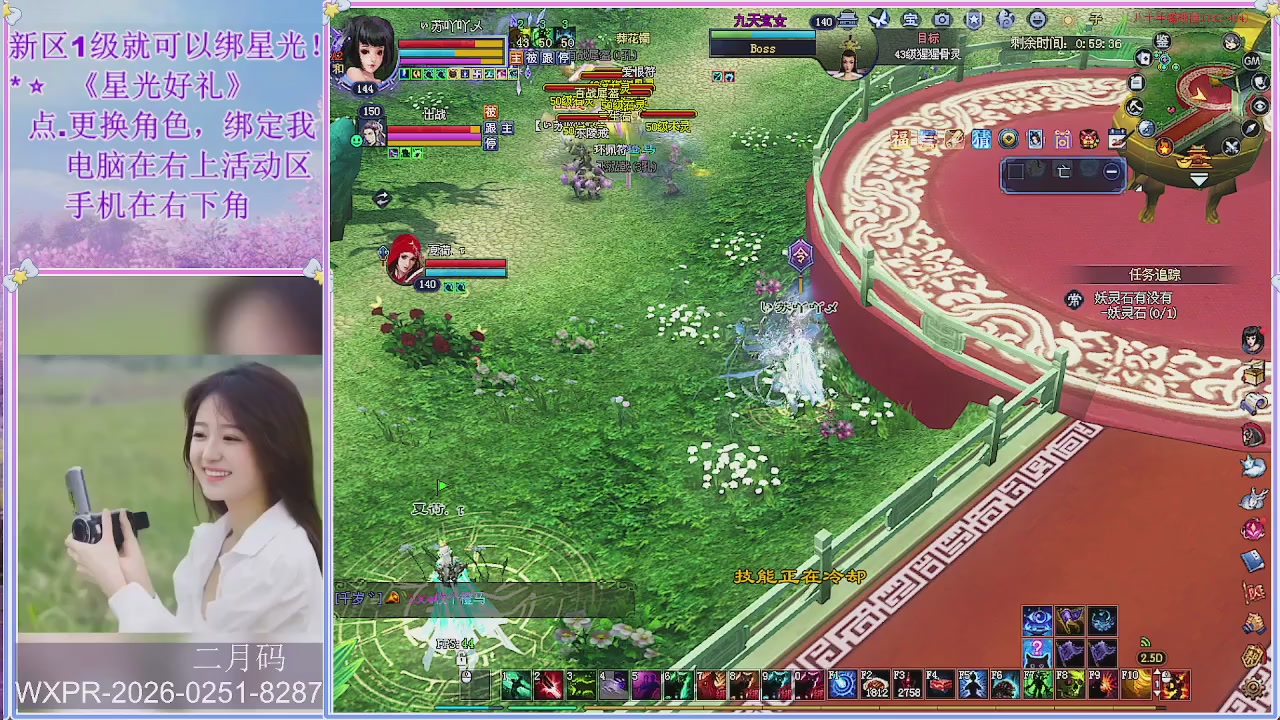 鲜衣怒马小划子