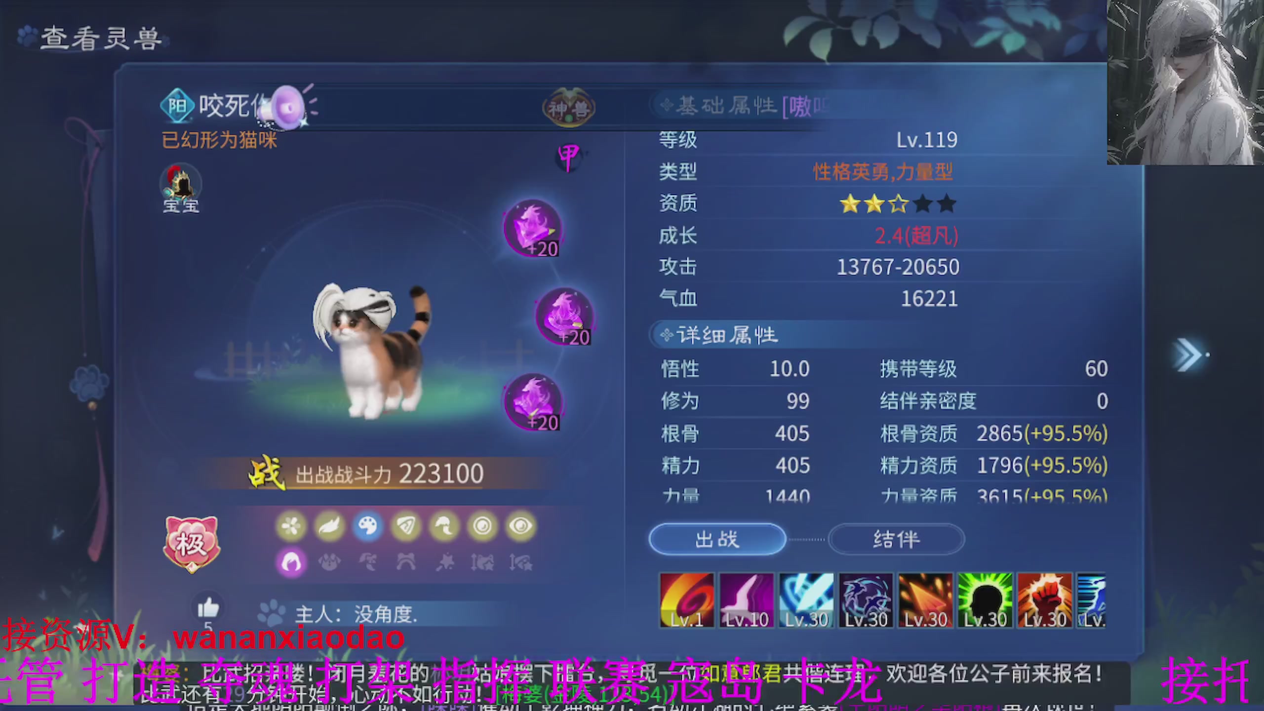 专业新区打造冲榜大翅膀