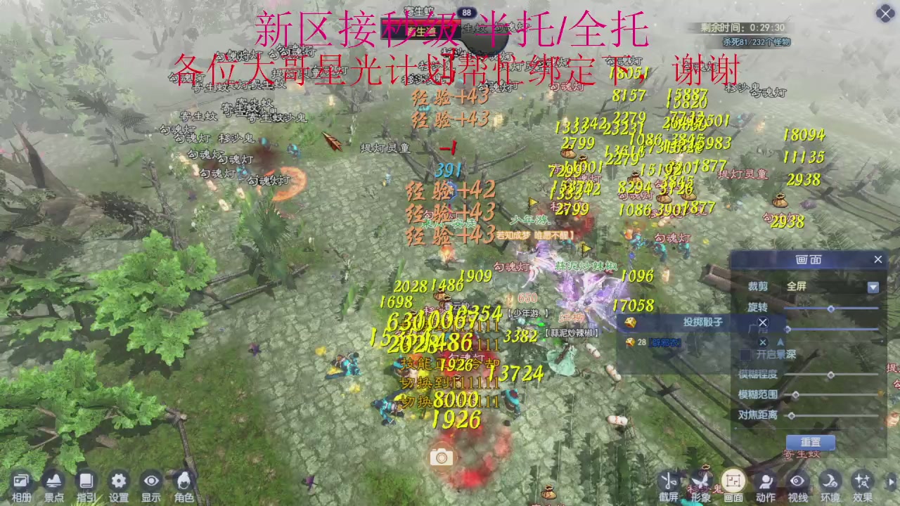 接细节全托,秒级绑星光