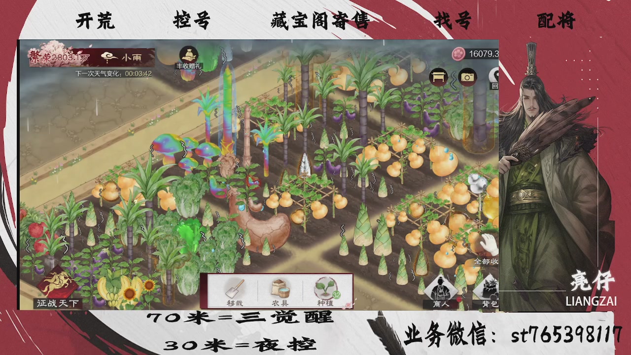 开荒滴滴，三觉70，夜控30