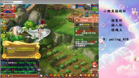 接命魂之玉 人环 宠环