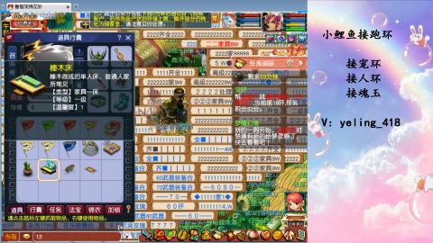 接命魂之玉 人环 宠环