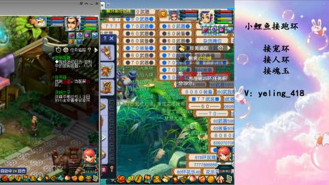 接命魂之玉 人环 宠环