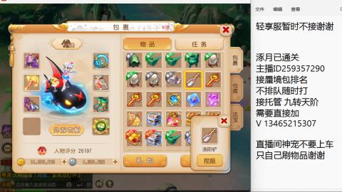 接九转蜃境托管~