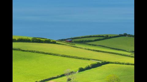 接明星赛 托管首席宗师比武