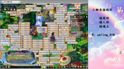 接命魂之玉 人环 宠环