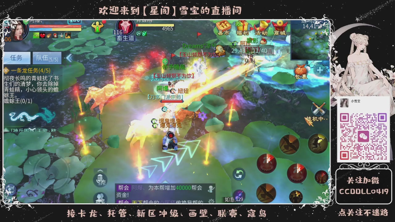 接新区冲级、托管、卡龙