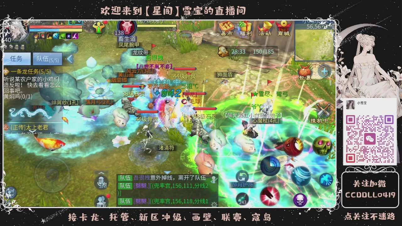 接新区冲级、托管、卡龙