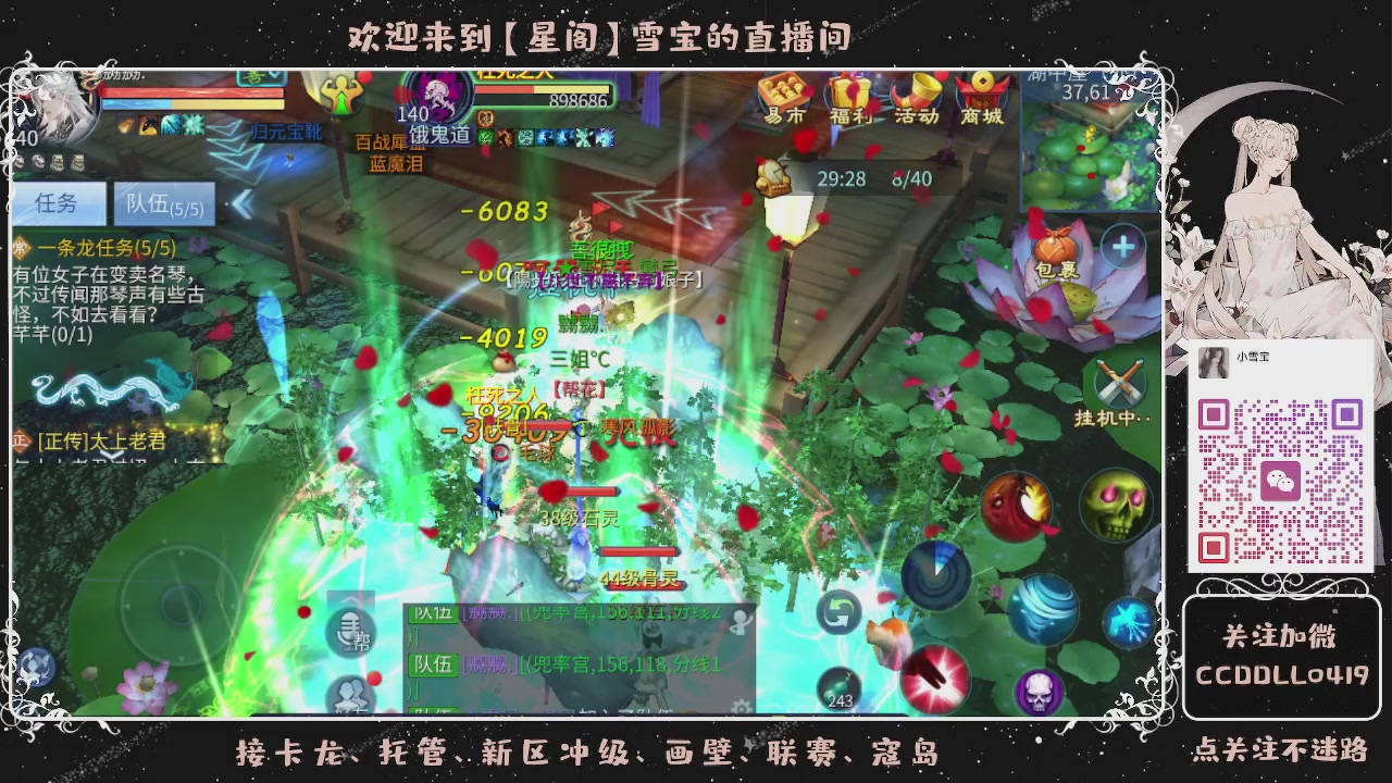 接新区冲级、托管、卡龙