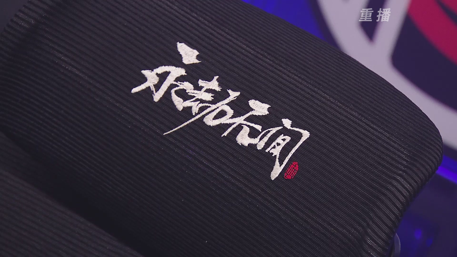 【重播】2025永劫无间 世界冠军赛