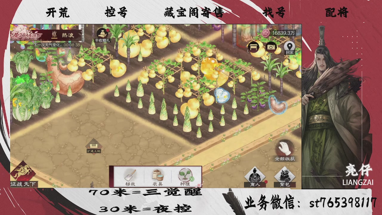 接开荒，夜控，寄售，找号，过年不休息