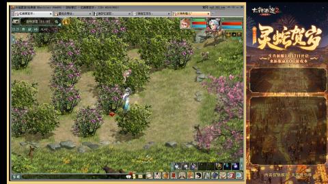 搬砖的双盘队伍