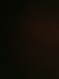 非酷即帅家族的直播间11