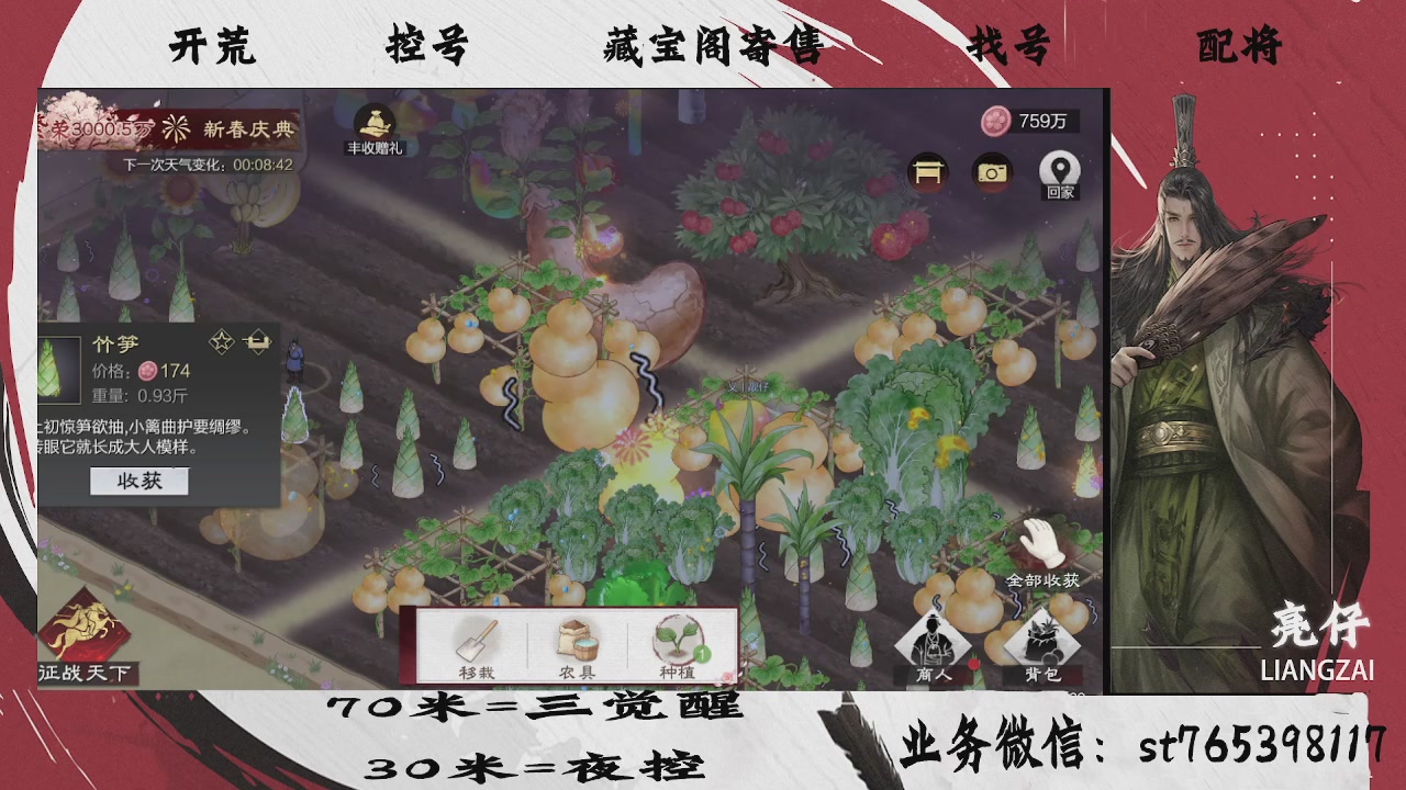 接开荒，夜控，寄售，找号，过年不休息