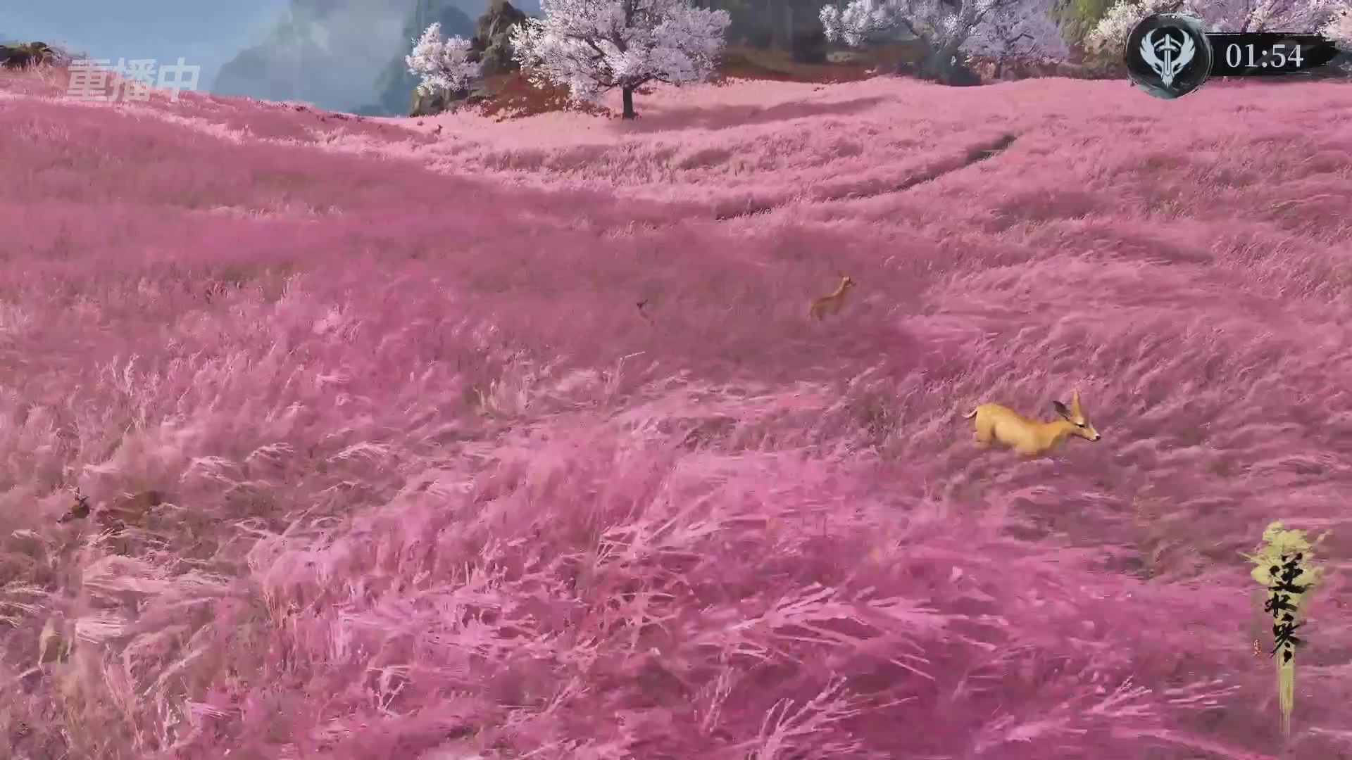 【重播】第二届黄金服诸神之战淘汰赛DAY3