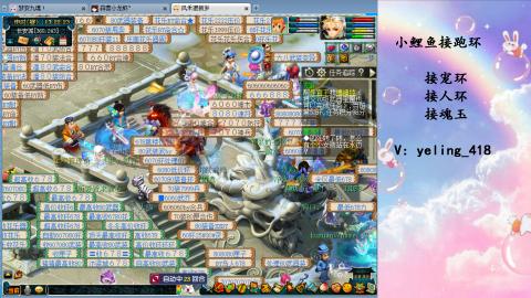 接命魂之玉 人环 宠环