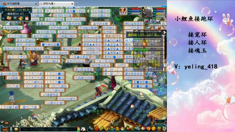 接命魂之玉 人环 宠环