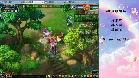 接命魂之玉 人环 宠环