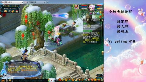 接命魂之玉 人环 宠环